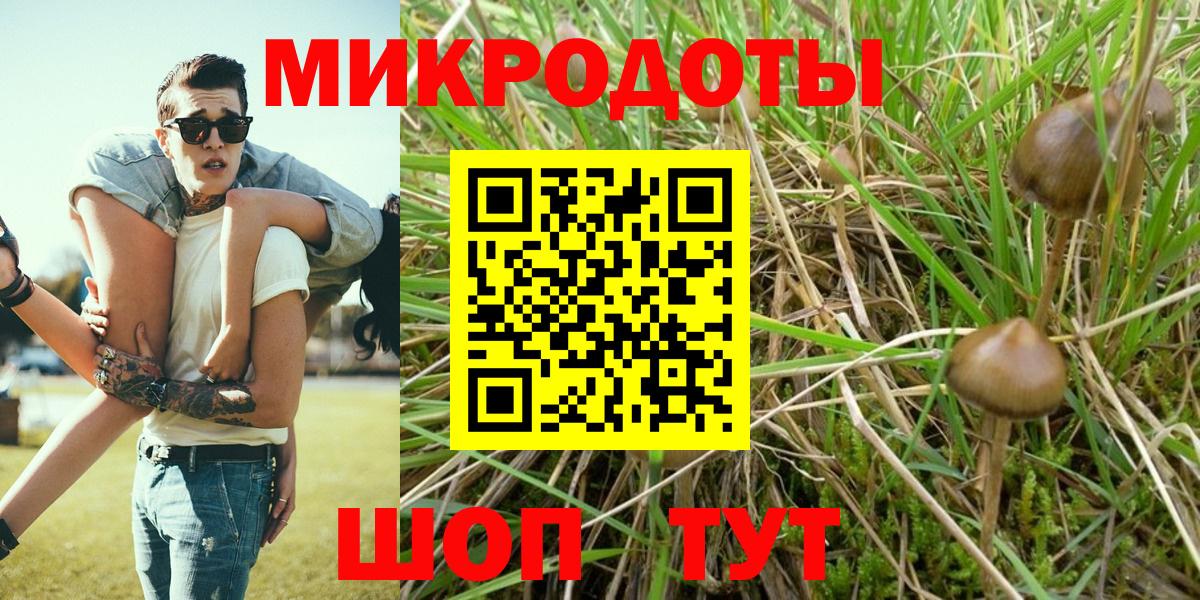 Галлюциногенные грибы Psilocybine cubensis  Вход с VPN  продажа наркотиков  Псилоцибиновые грибы Cubensis  Алексин 